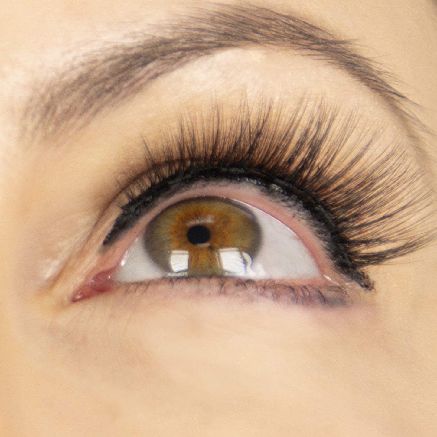 Wonderlash Magnetic Lashes