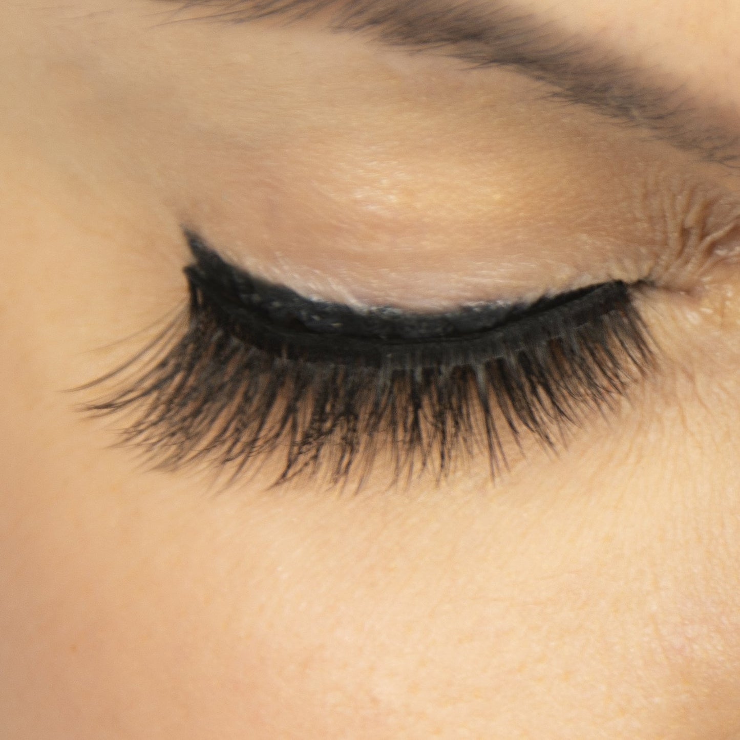 Wonderlash Magnetic Lashes